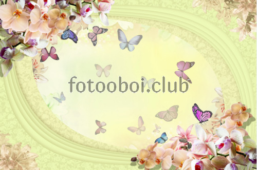 цветы, цветок, орхидеи, узоры, бабочки, 3д, 3d